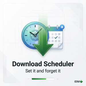 IDM官网 - IDM WebSocket安全